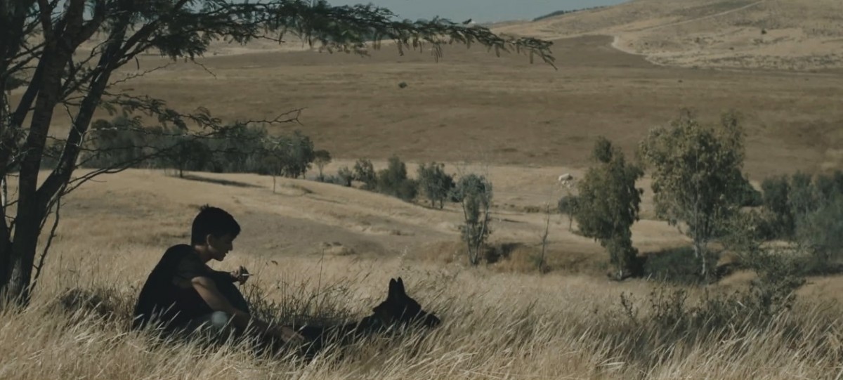 חוות בודדים