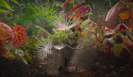 המסע של דנדליון