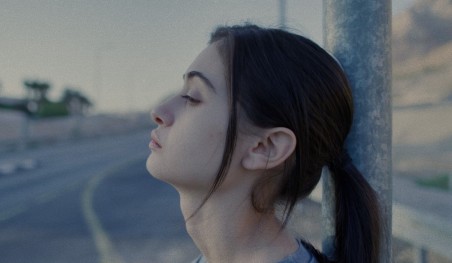 על כלבים ואנשים