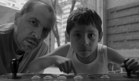 זבובים