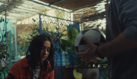 מקבץ קצרים - חמלה