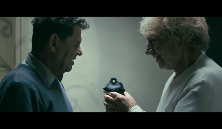 לילה בלי כוכבים