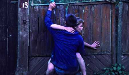 כשהעצים נופלים