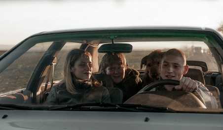 זבובים בחורף