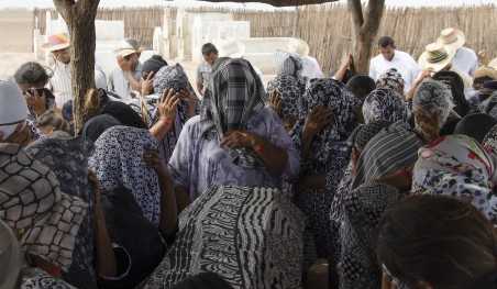 ציפורים נודדות