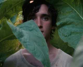 Happy as Lazzaro
