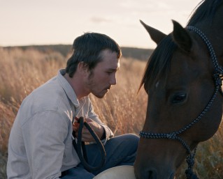The Rider