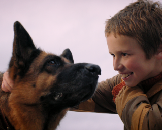 A Dog Named Palma